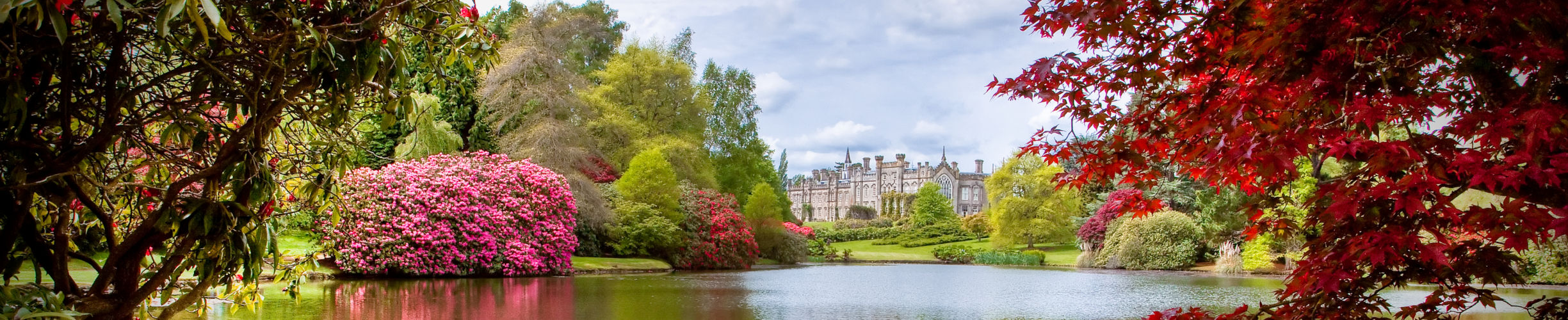 Busreisen England, Busreisen nach England