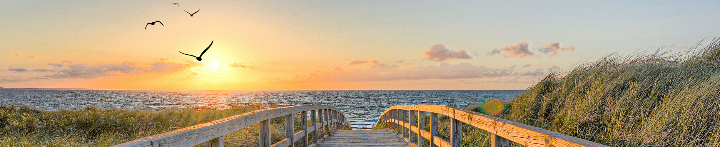 Tagesfahrten ab Berlin, Tagesreisen